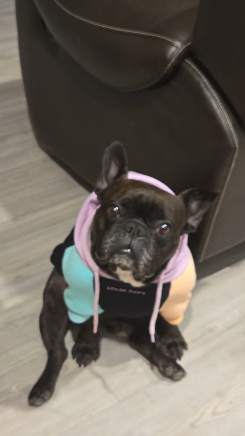 Customer photo review of Cyber Punk Human Hoodie