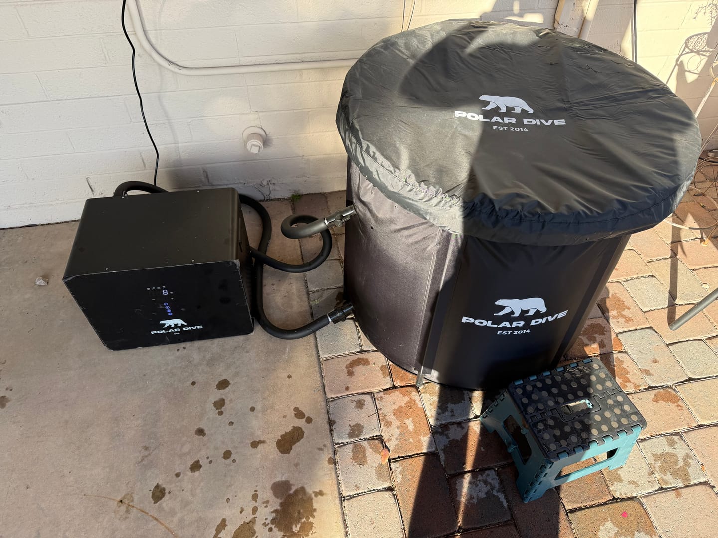 Customer photo review of The Polar Dive
