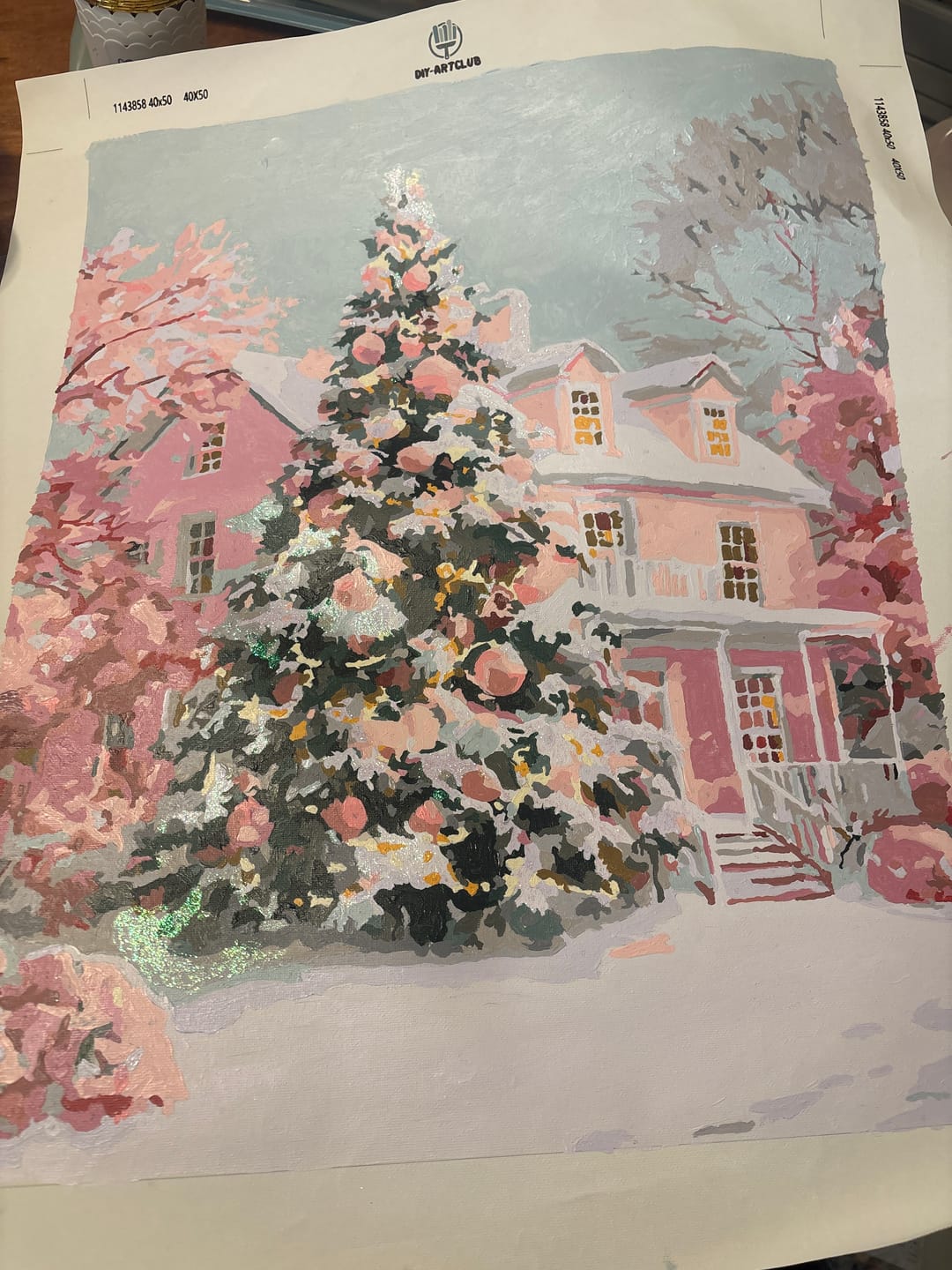 Customer photo review of The Pink Noel | Paint by Number