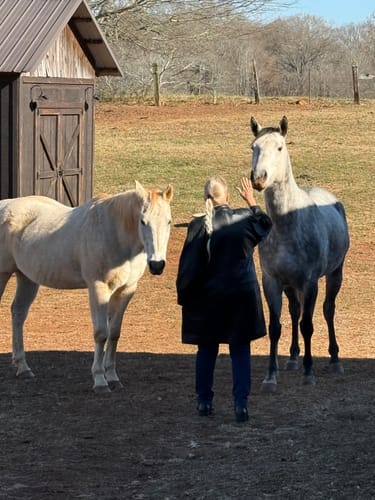 Reviewer with long braided hair stands with two horses, showing results from taking Collagen Peptides.
