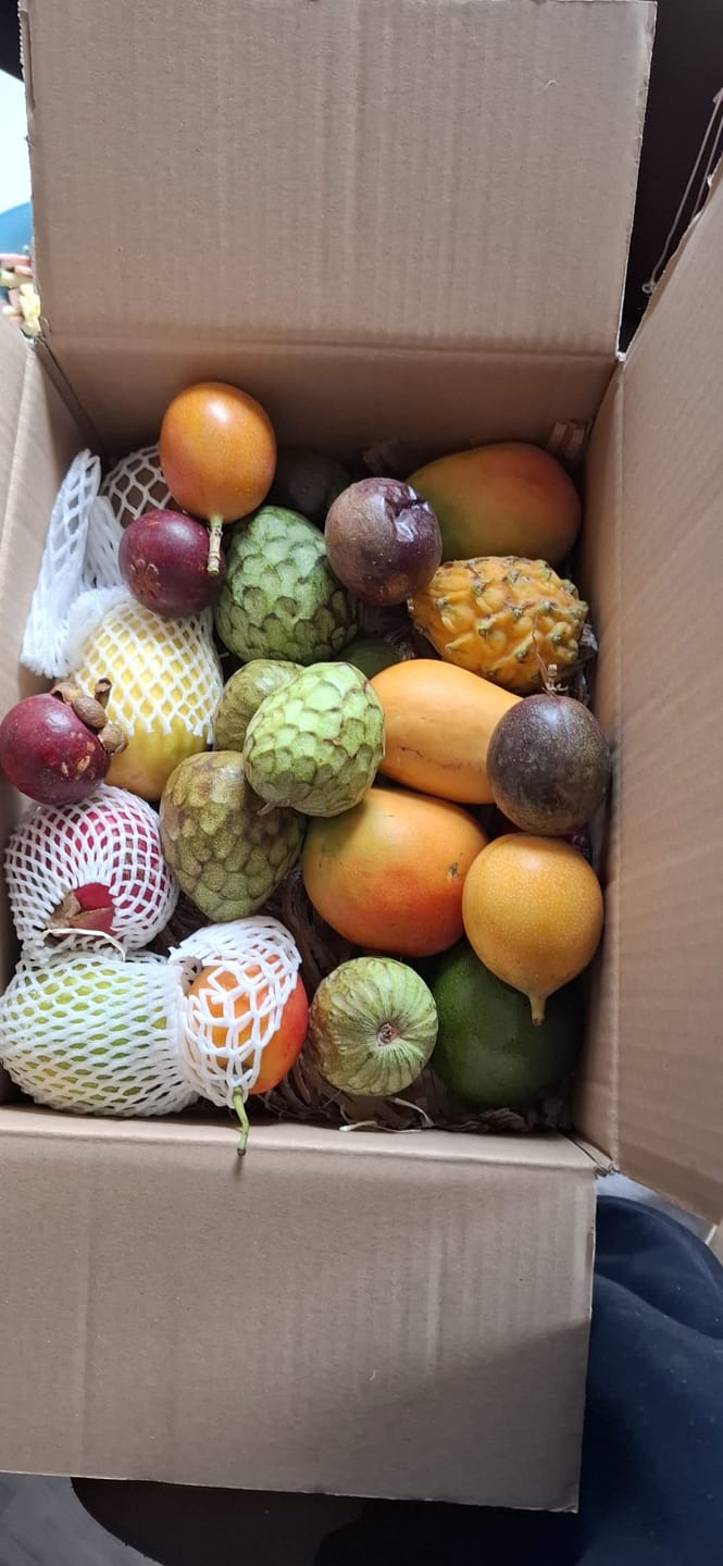 Customer photo review of Tropenreise Südamerika Box