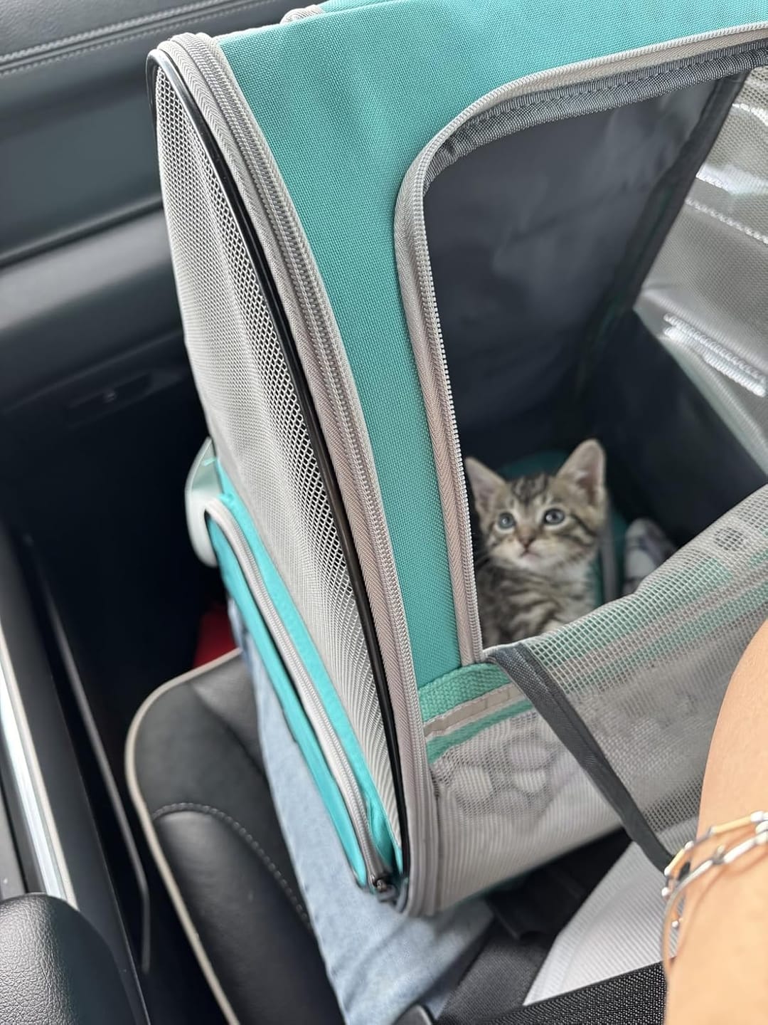 Customer photo review of PurryGO - Triple Airflow Backpack Carrier For Small Pets