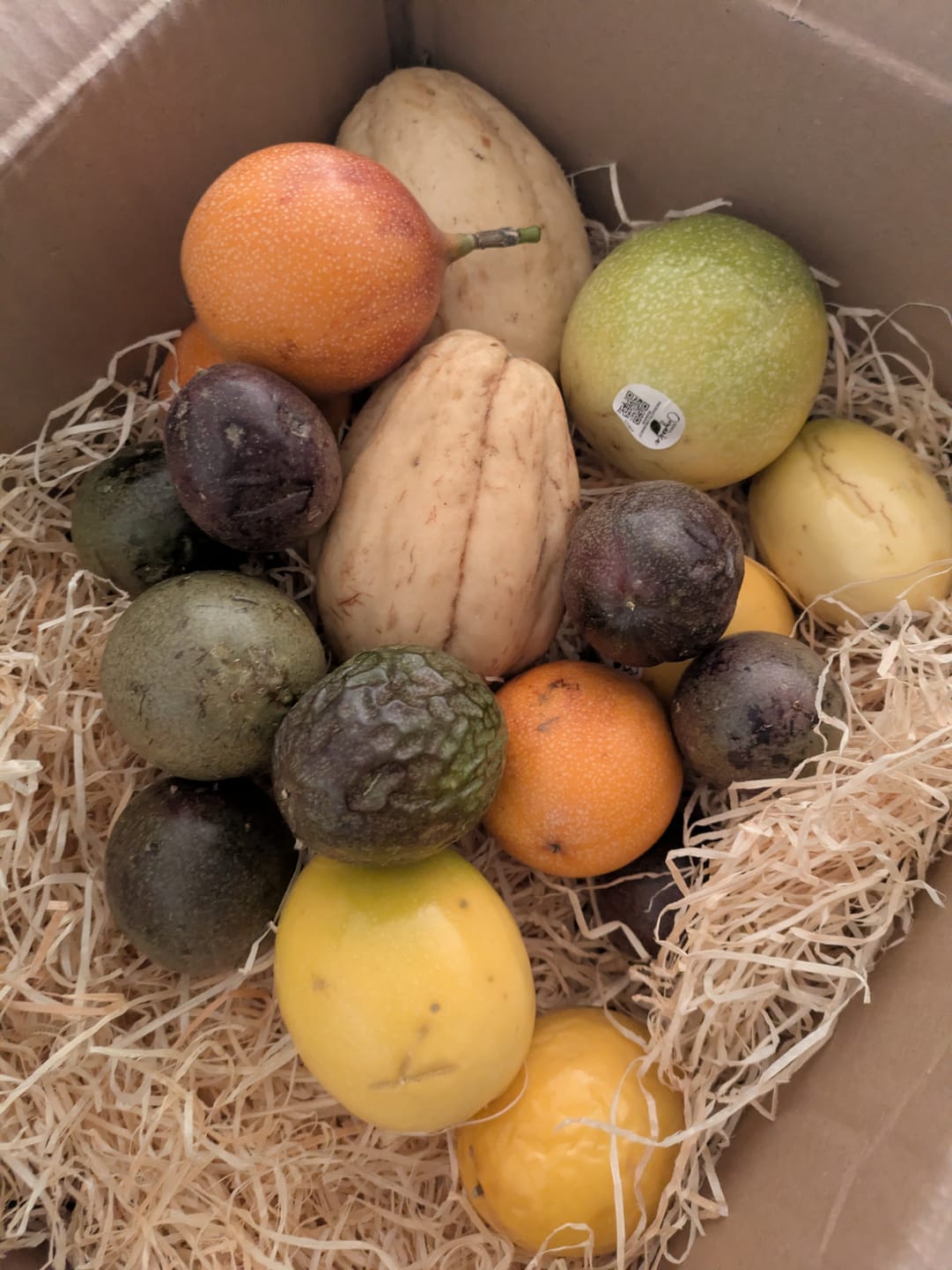 Customer photo review of "Passiflora Lovers" Maracuja-Mix Box