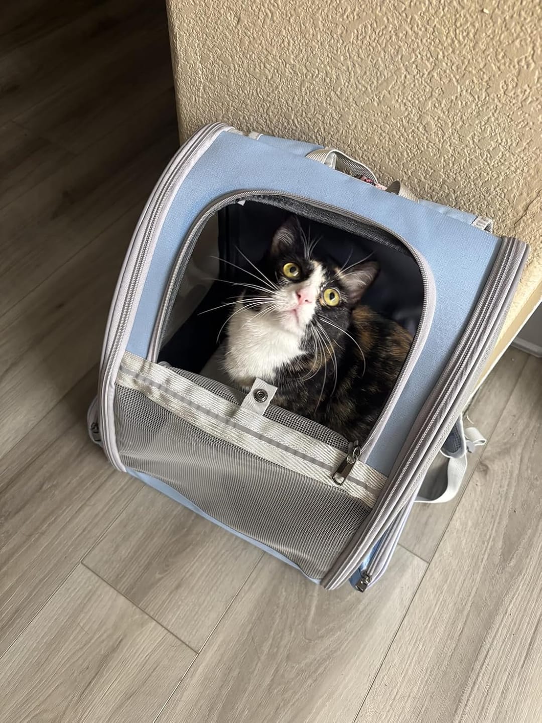 Customer photo review of PurryGO - Triple Airflow Backpack Carrier For Small Pets