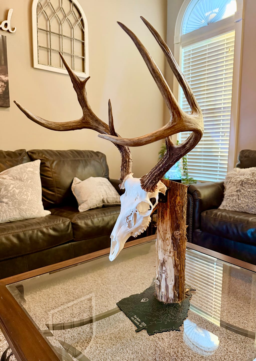 Customer photo review of Medium Game Plaques