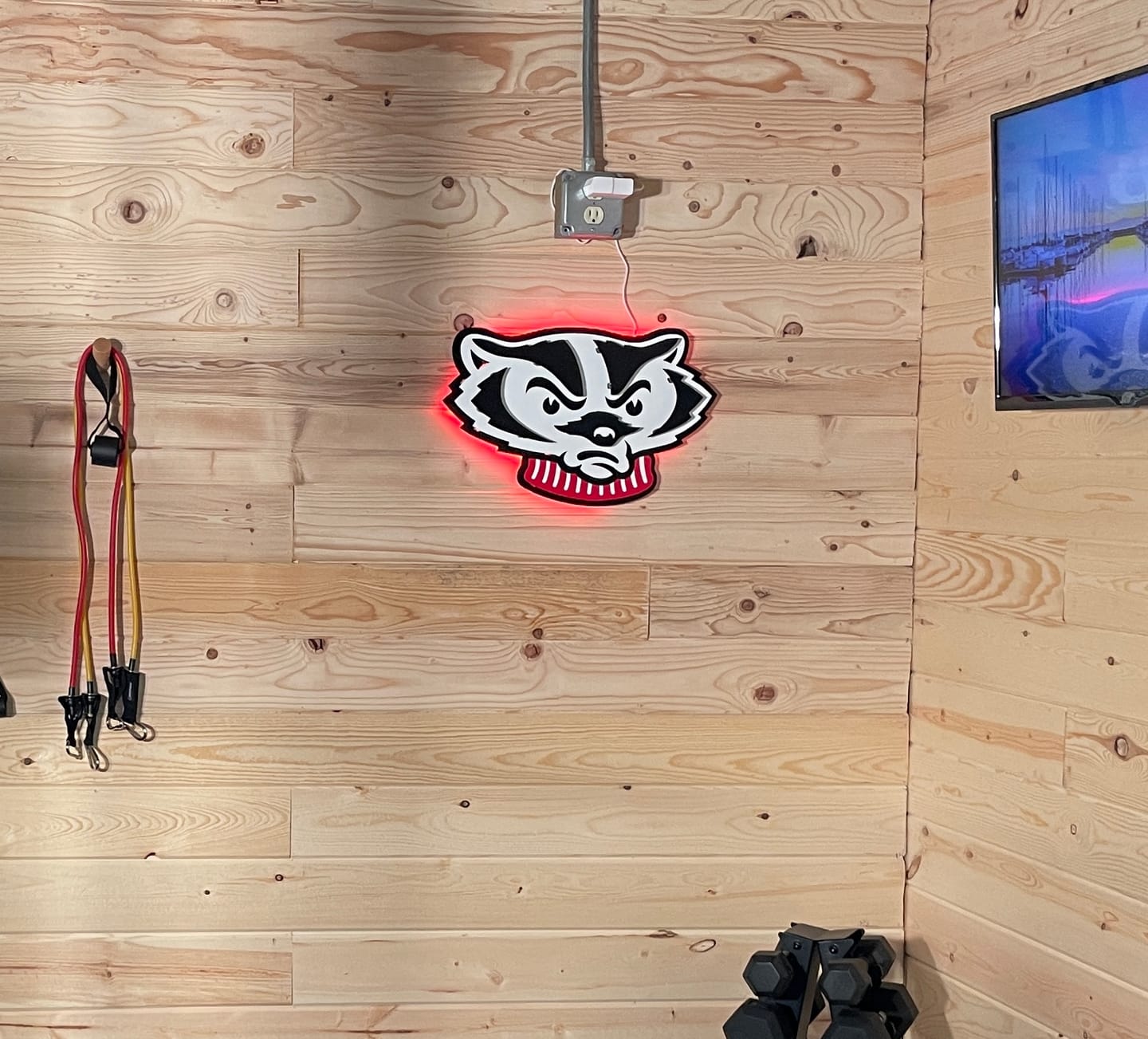 Customer photo review of Wisconsin Badgers Mascot Head 3D Vintage Metal Wall Art