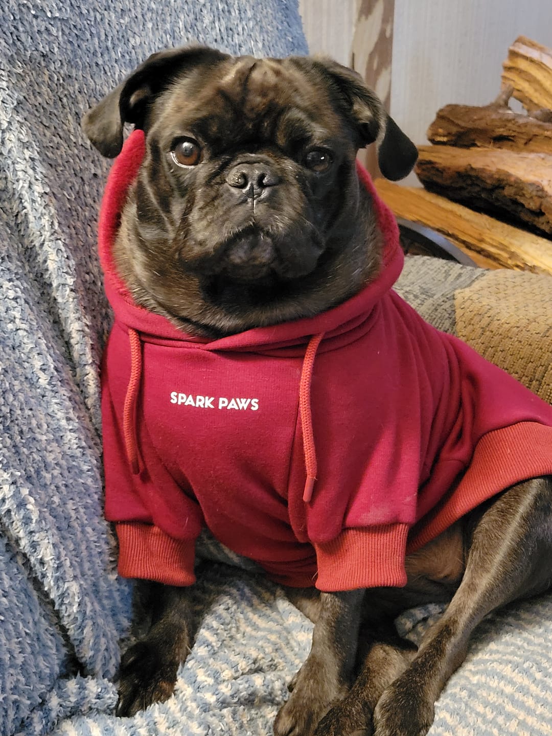 Customer photo review of Essential Human Hoodie - Burgundy