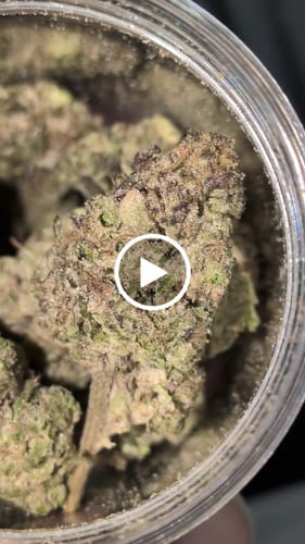 Customer video review of Hashburger - 28 Grams - Indica