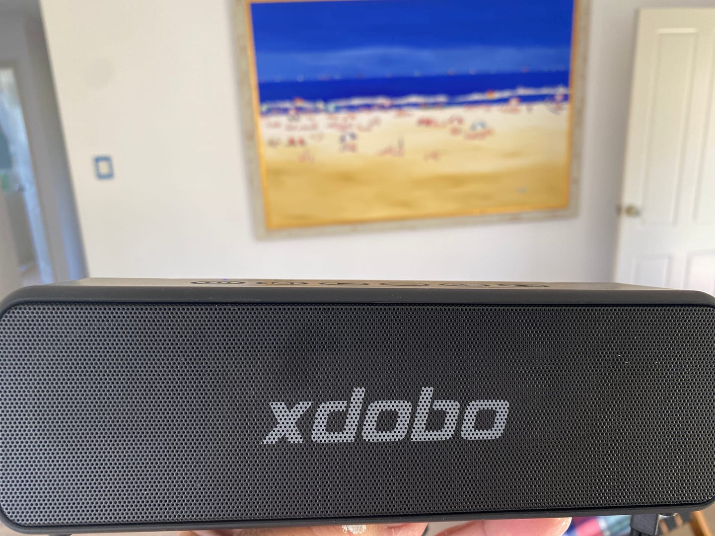 Customer photo review of XDOBO® X Series Wireless Bluetooth Speaker - 30W Speaker with Large Battery for Extended Outdoor & Waterproof Use