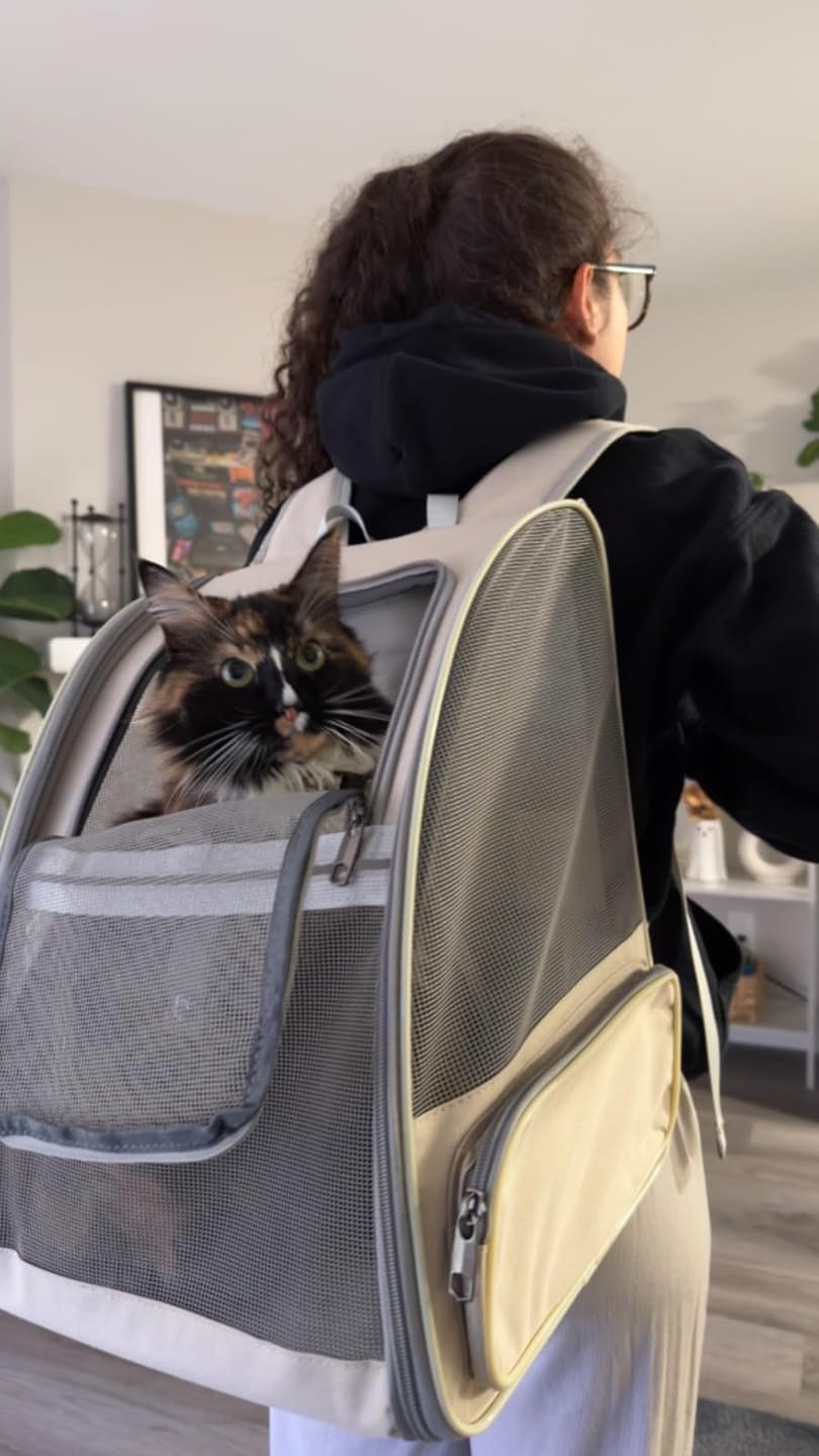 Customer photo review of PurryGO - Triple Airflow Backpack Carrier For Small Pets