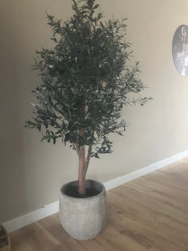 Customer photo review of Kunst Olijfboom 165cm Deluxe
