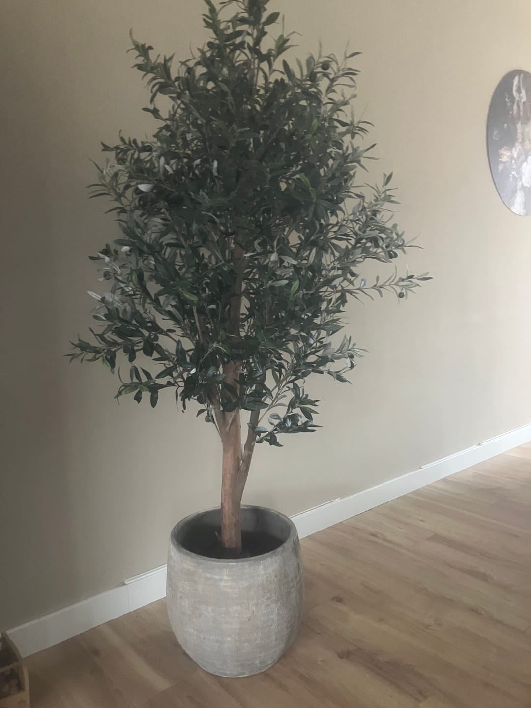 Customer photo review of Kunst Olijfboom 165cm Deluxe