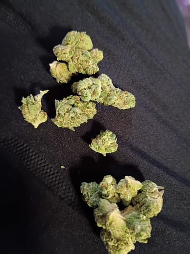 Customer photo review of Gorilla Glue - 28 Grams Littles - Indica