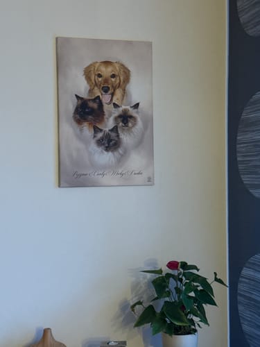 Customer photo review of Aquarell Pawtrait