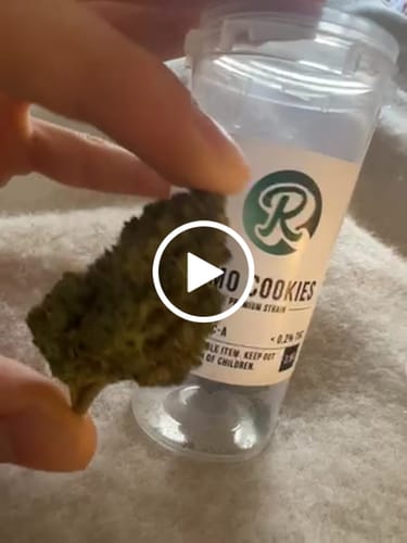 Customer video review of GMO COOKIES – THCA 25% AAA+ Cali Genetic | Top Shelf Buds