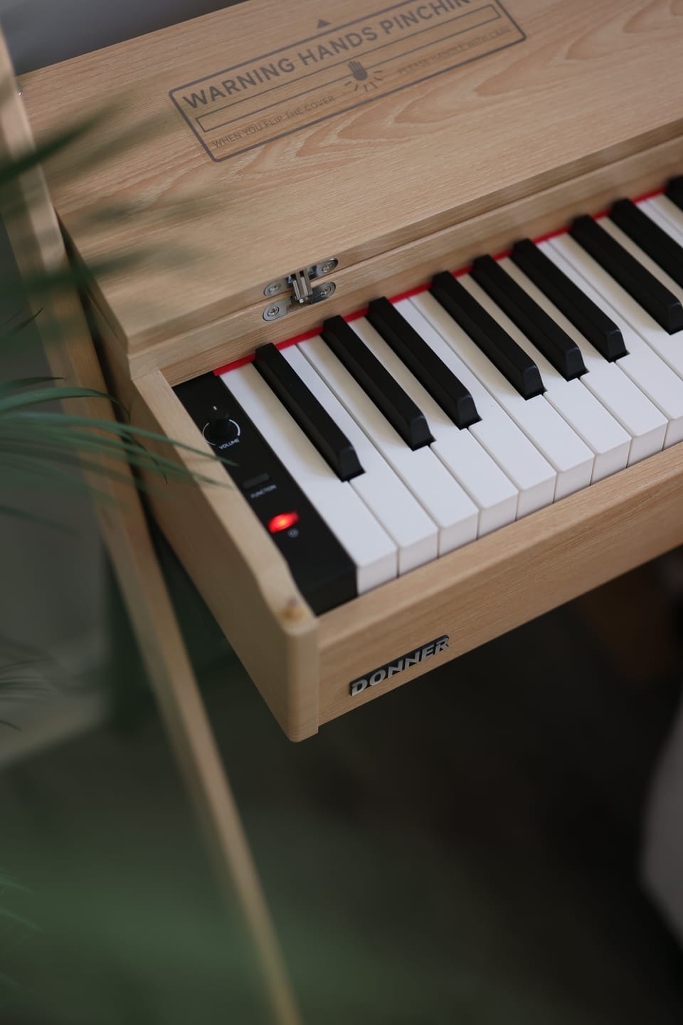 Customer photo review of Donner OURA™ R300 Home Digital Piano