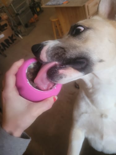 Customer photo review of Freezball - Durable Fillable Dog Chew Bone