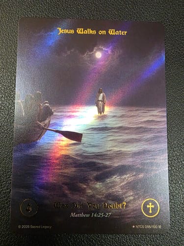 Customer photo review of Collector's Bundle