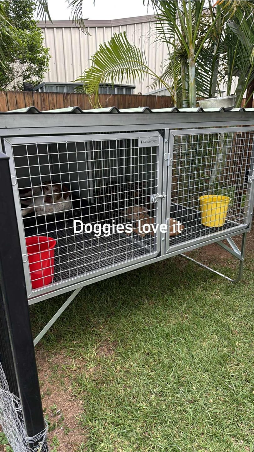 Customer photo review of Raised Safety Kennel