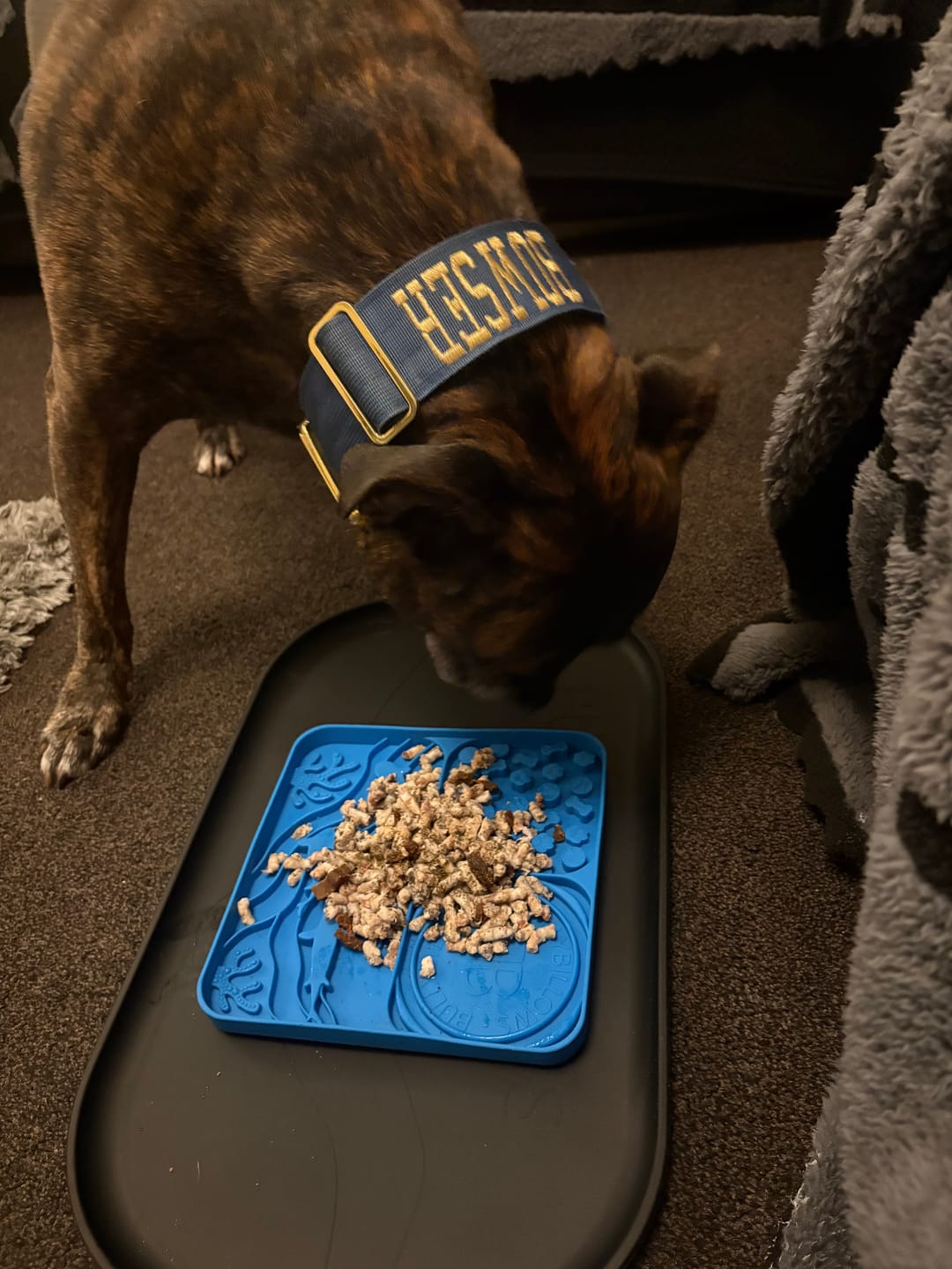 Customer photo review of Dog Bowl Non-Slip Protective Mat