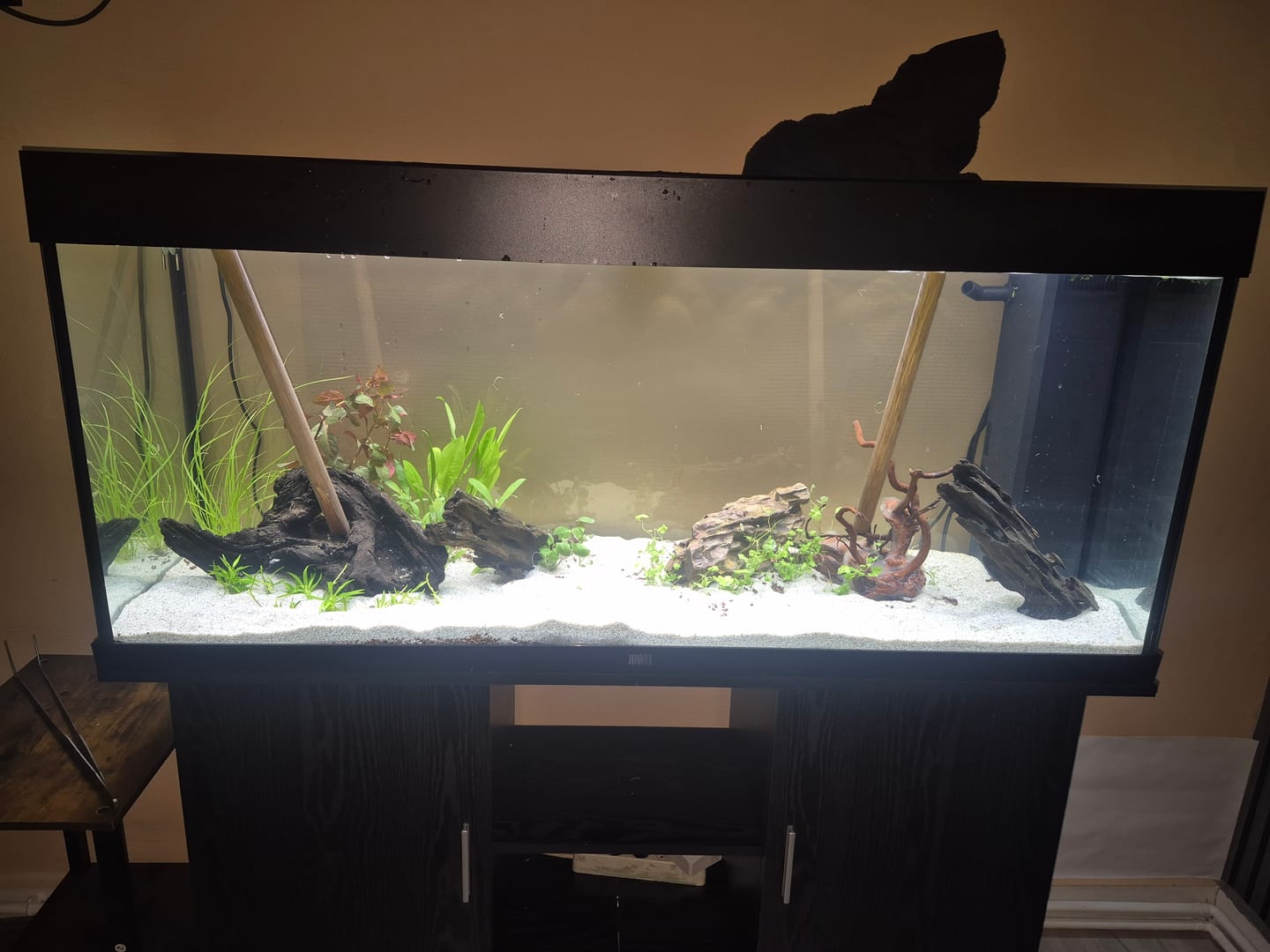 Customer photo review of Aquarium Rio 240 LED Noir Équipé JUWEL - 240L