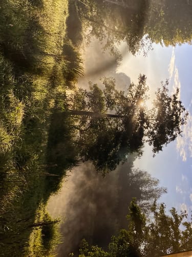 Customer photo review of Inductiebeschermer met eigen foto