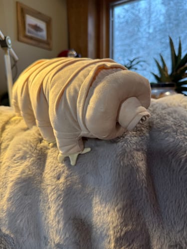 Customer photo review of Tardigrade Water Bear Soft Stuffed Plush Toy