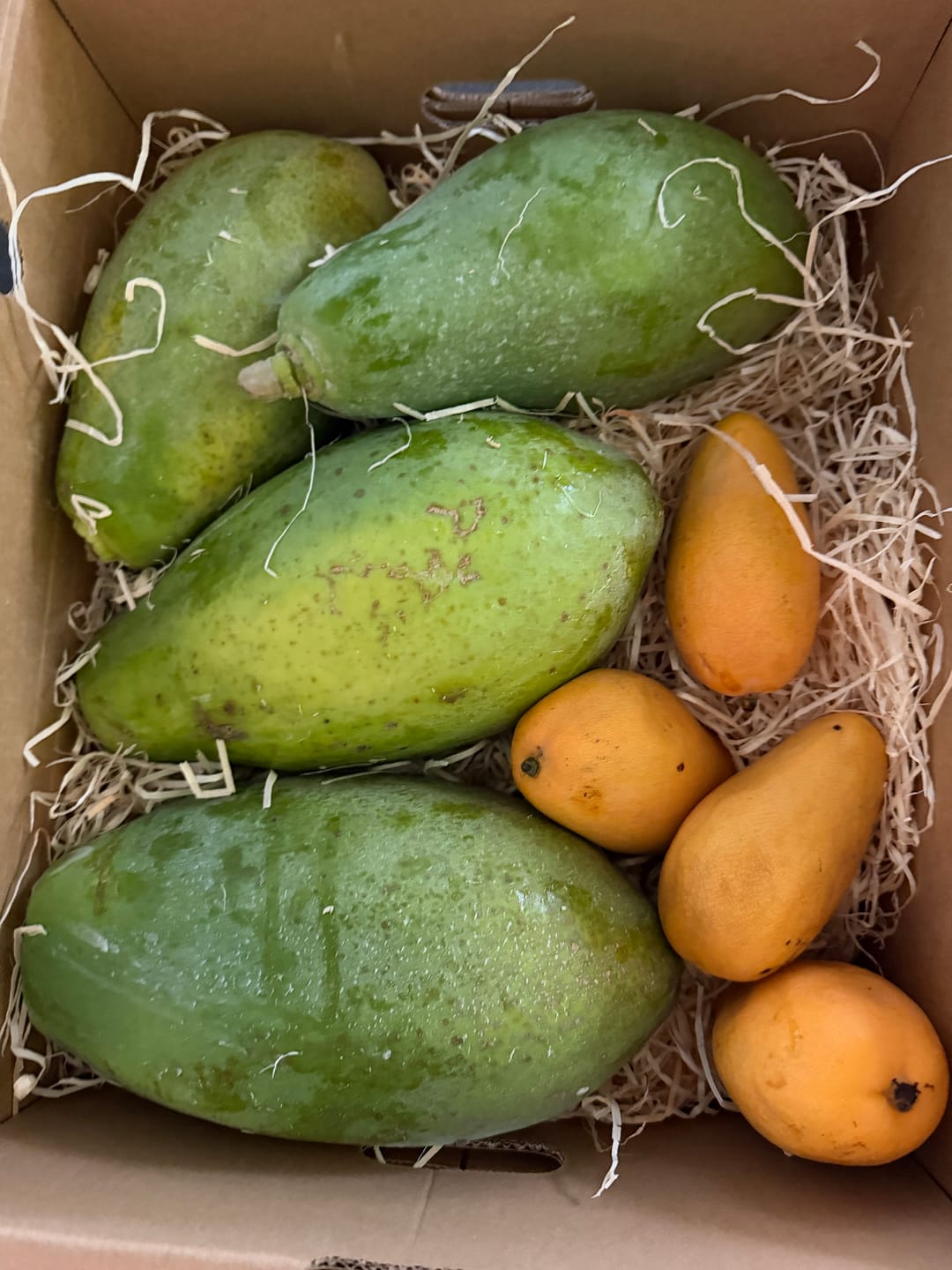 Customer photo review of Mango Honig „Ataulfo“ Bio von Joe Roman baumgereifte Flugware