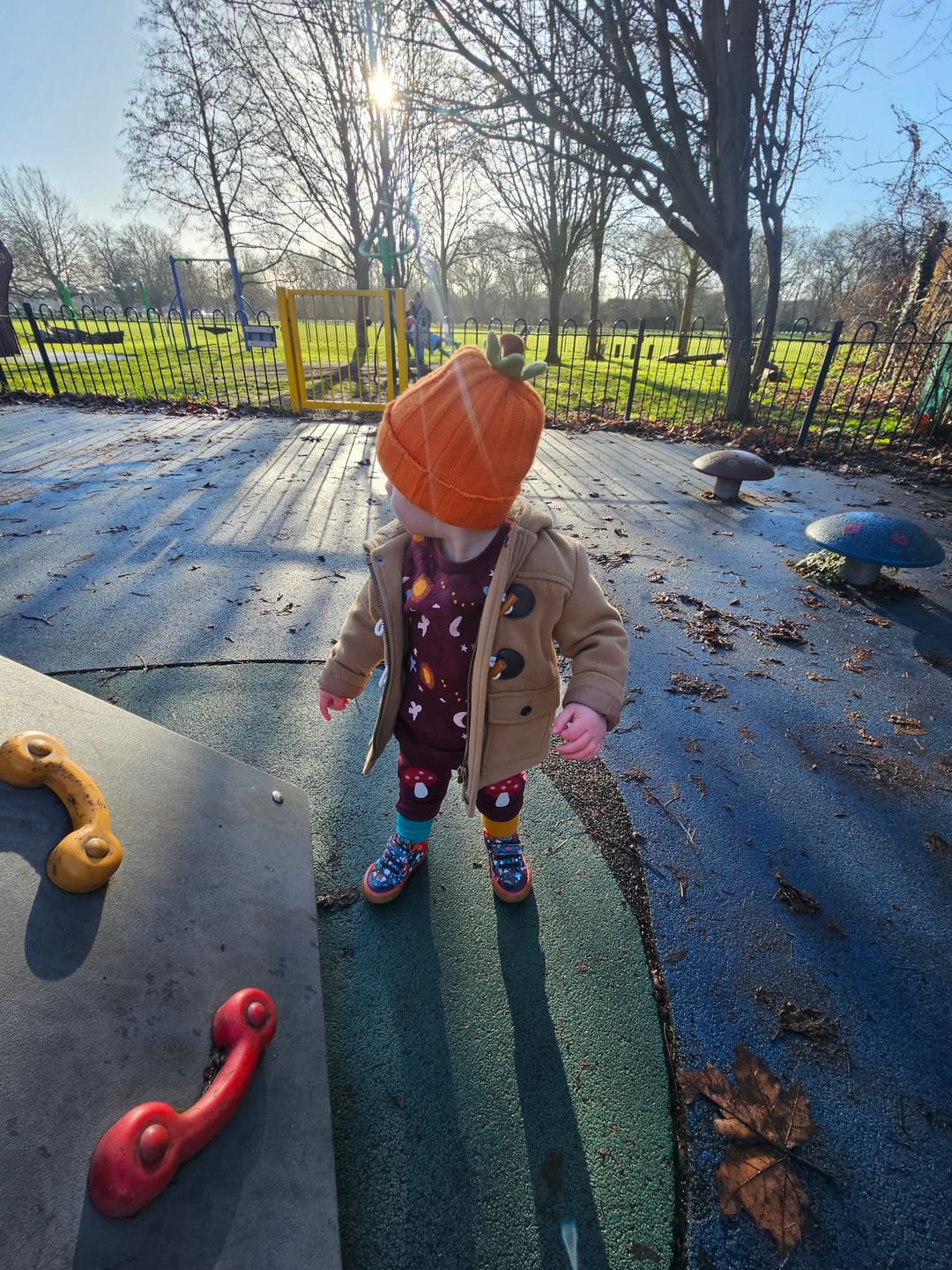 Customer photo review of Flying Birds Quilted Sweatshirt