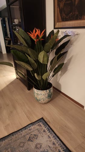 Customer photo review of 10 liter Frans Boomschors