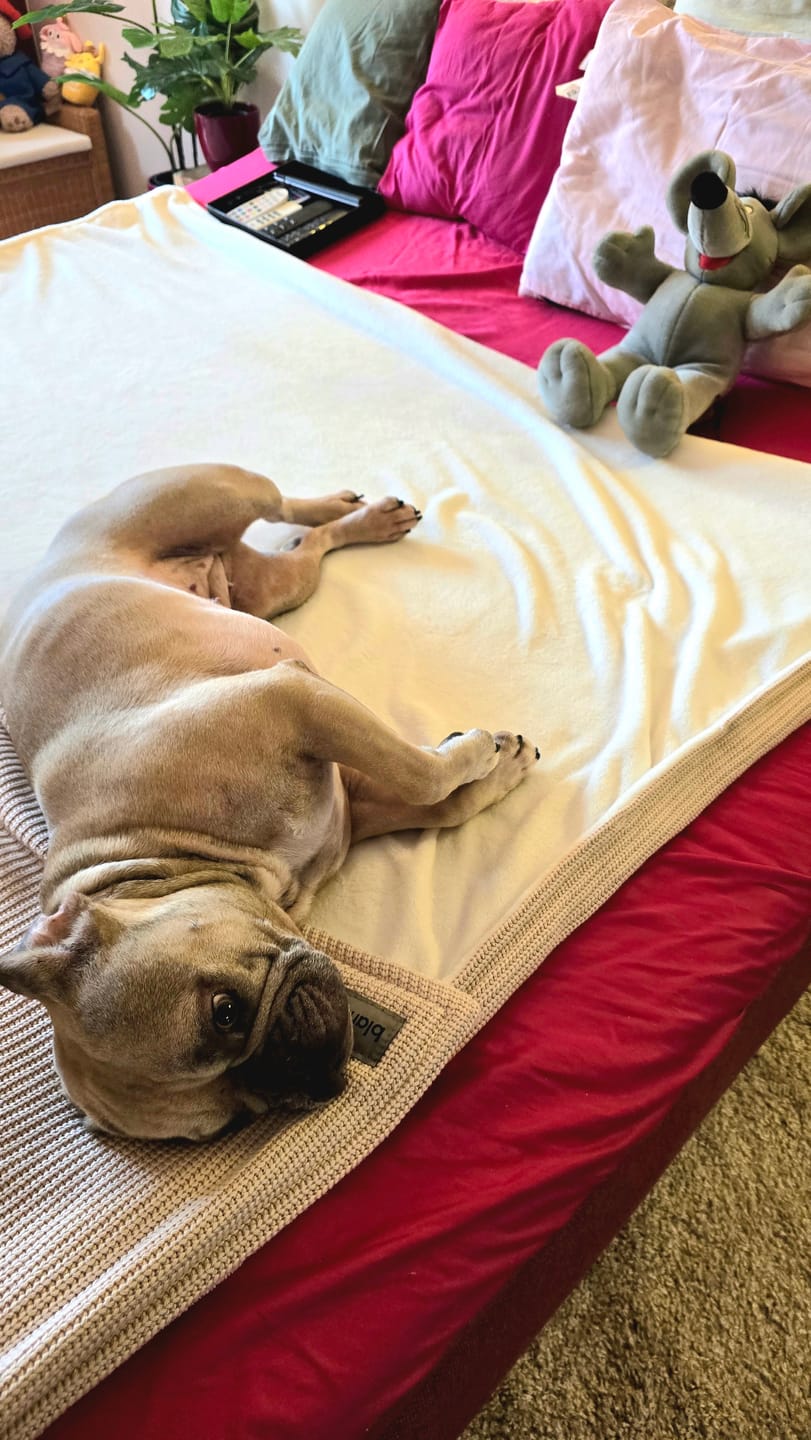 Customer photo review of Kuscheldecke mit Baumwollstrick · Creme