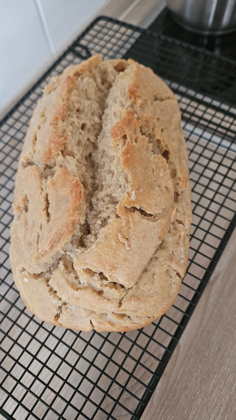 Customer photo review of BIO Sauerteig Starter (150g)