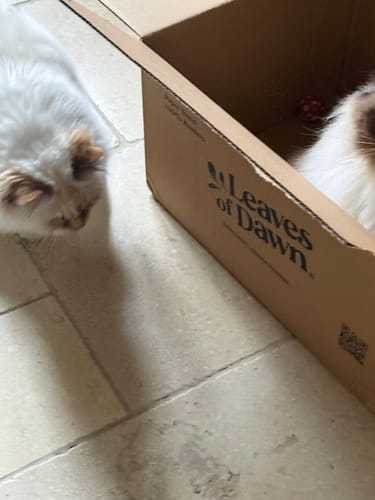 Customer photo review of 100% Bamboo Toilet Paper - 3ply -  40 meters