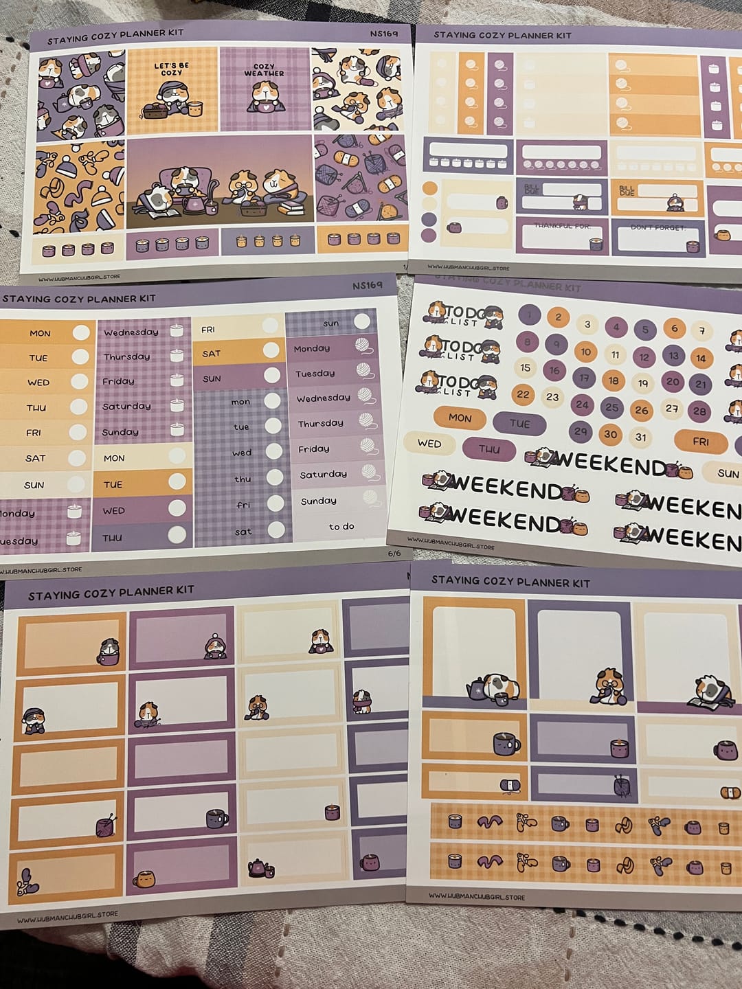 Customer photo review of Staying Cozy Planner Kit (Set of 6)