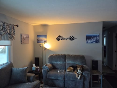 Customer photo review of Mountain Range Reflection - Metal Wall Art