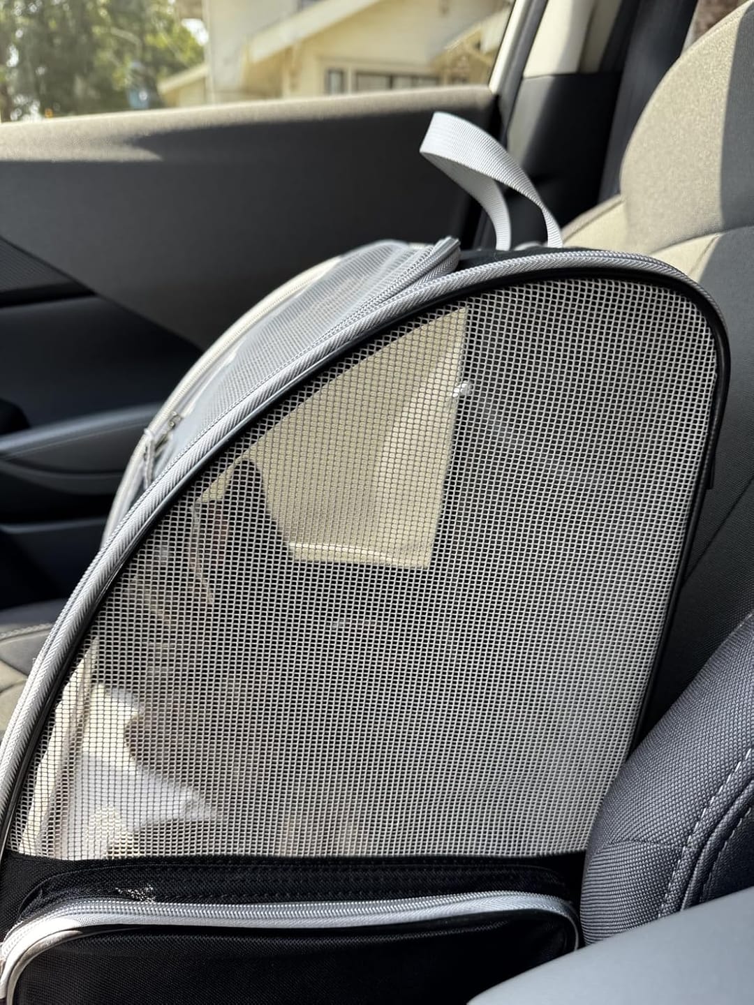 Customer photo review of PurryGO - Triple Airflow Backpack Carrier For Small Pets
