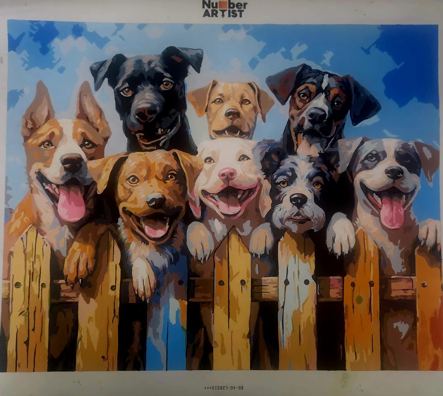Customer photo review of Dog Days of Summer
