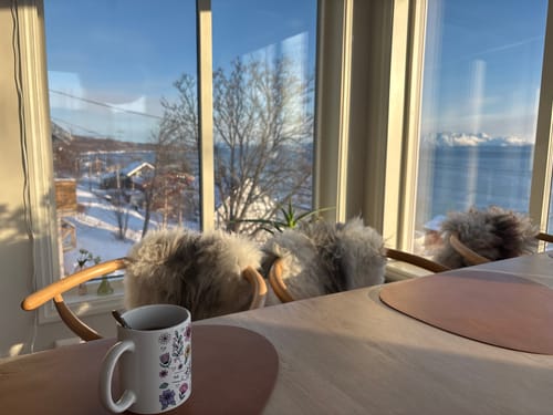 En recensents Kärleksmuggen med ett vackert blommönster på ett bord framför ett fönster med en snöig utsikt.