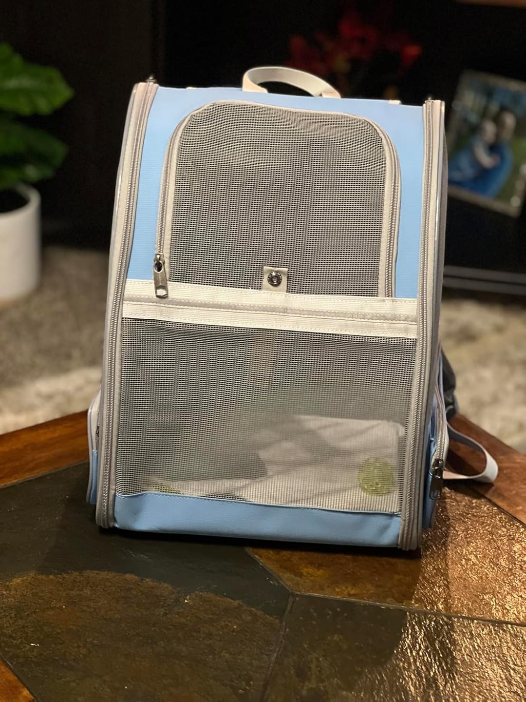 Customer photo review of PurryGO - Triple Airflow Backpack Carrier For Small Pets