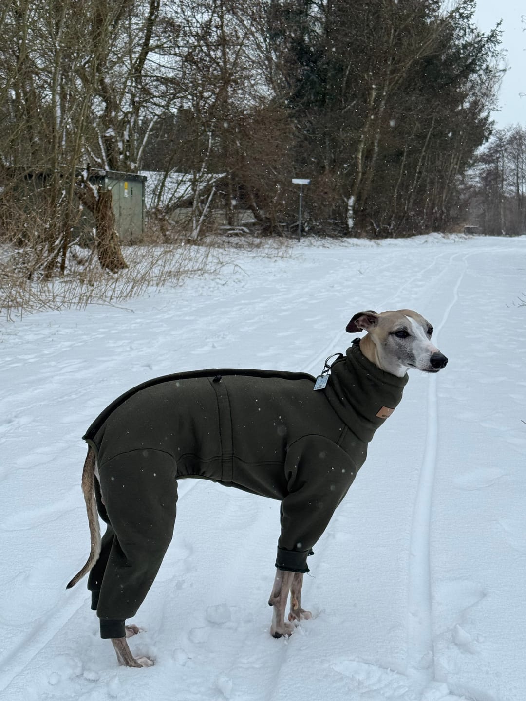 Customer photo review of Nuuk "Mountain Green"