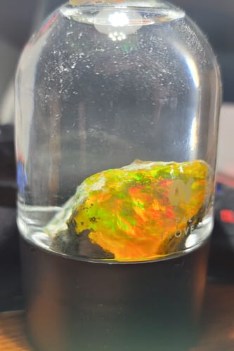 Customer photo review of Dome Jars