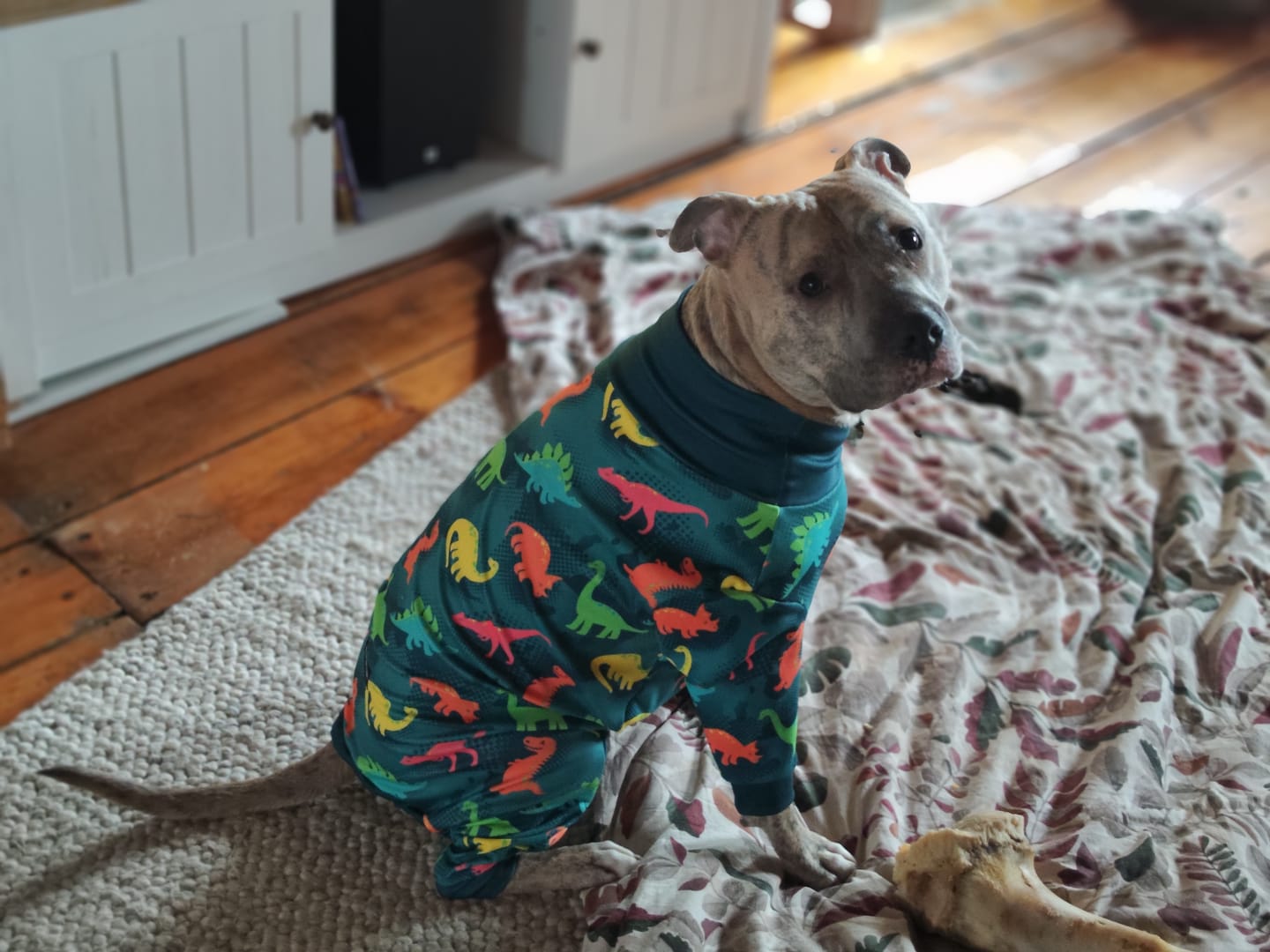 Customer photo review of Dog Pajama Prints