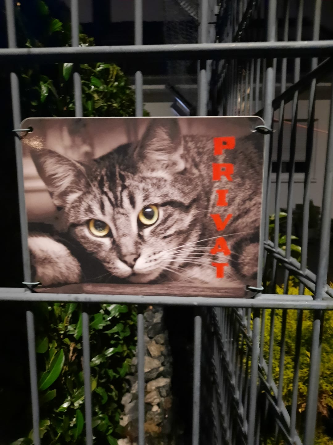 Customer photo review of Hunde-Türschild personalisiert mit Foto & Text (UV- und wetterfest)