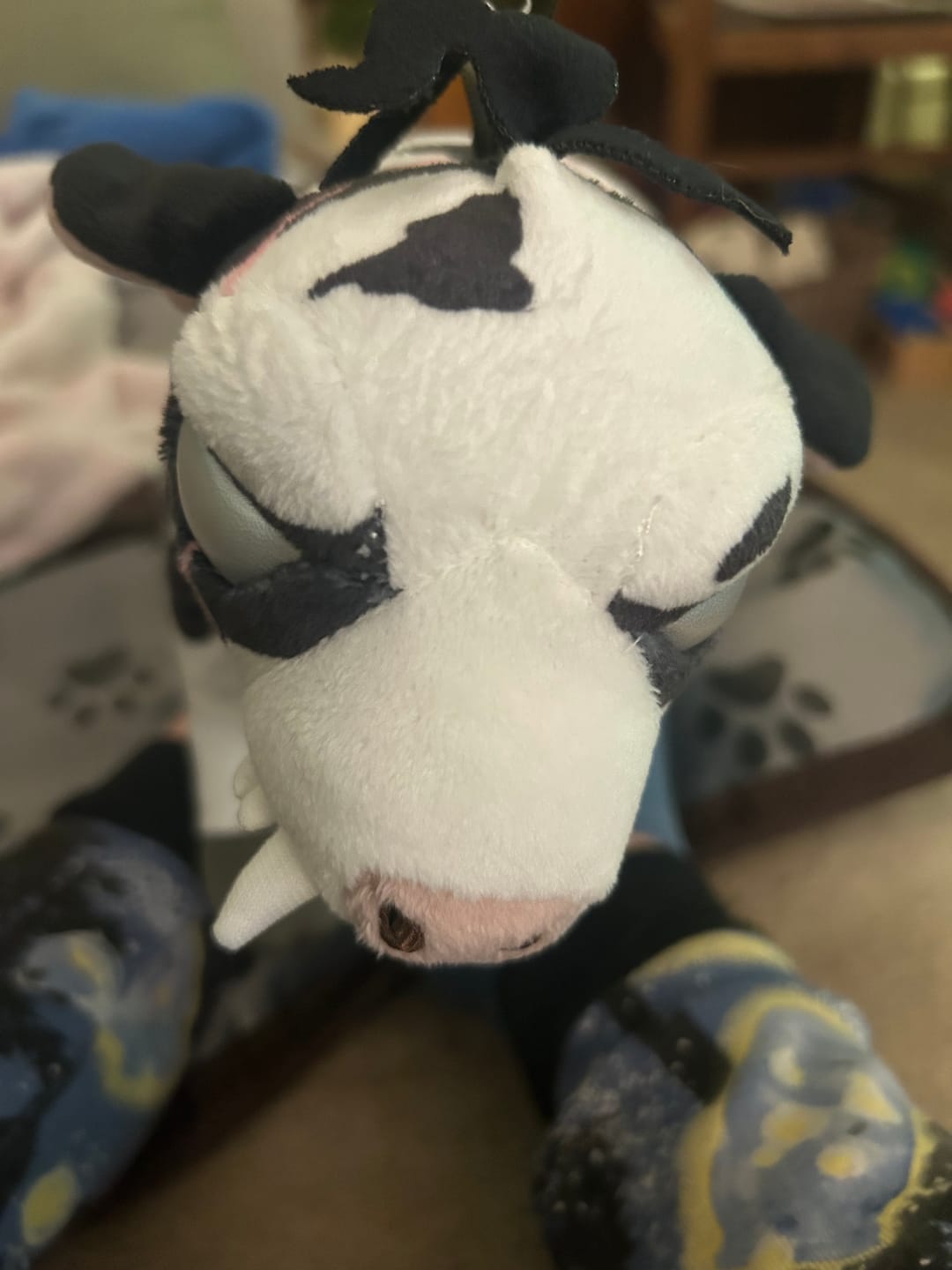 Customer photo review of Toothy Cow Plushie