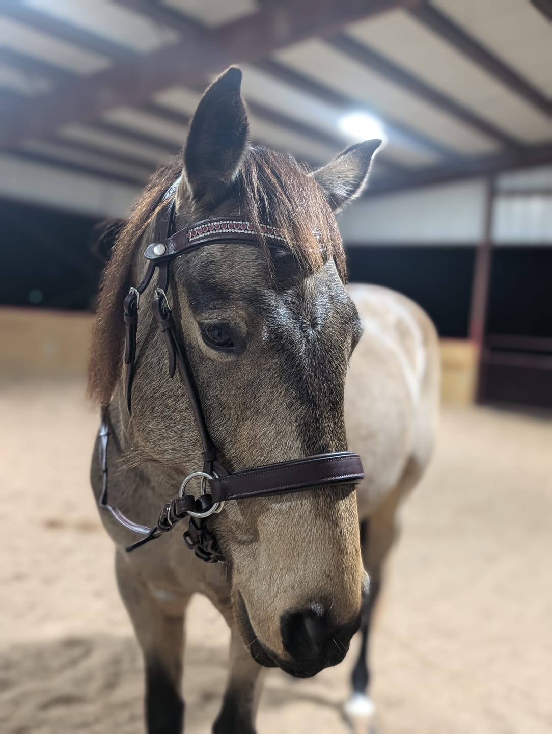 Customer photo review of Pink Shimmer Snap-Out Browband