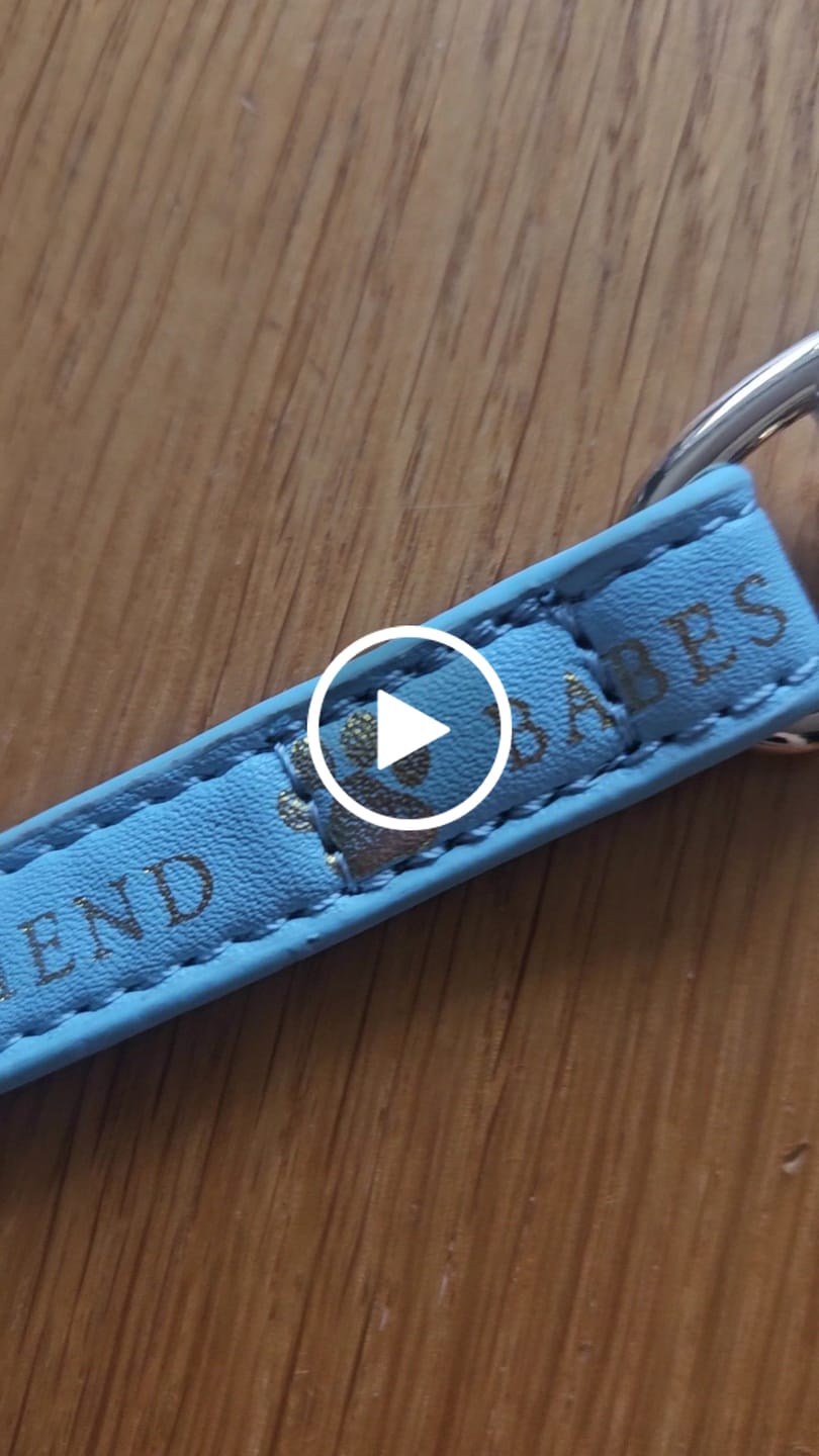 Customer video review of P.Louise Dog Lead
