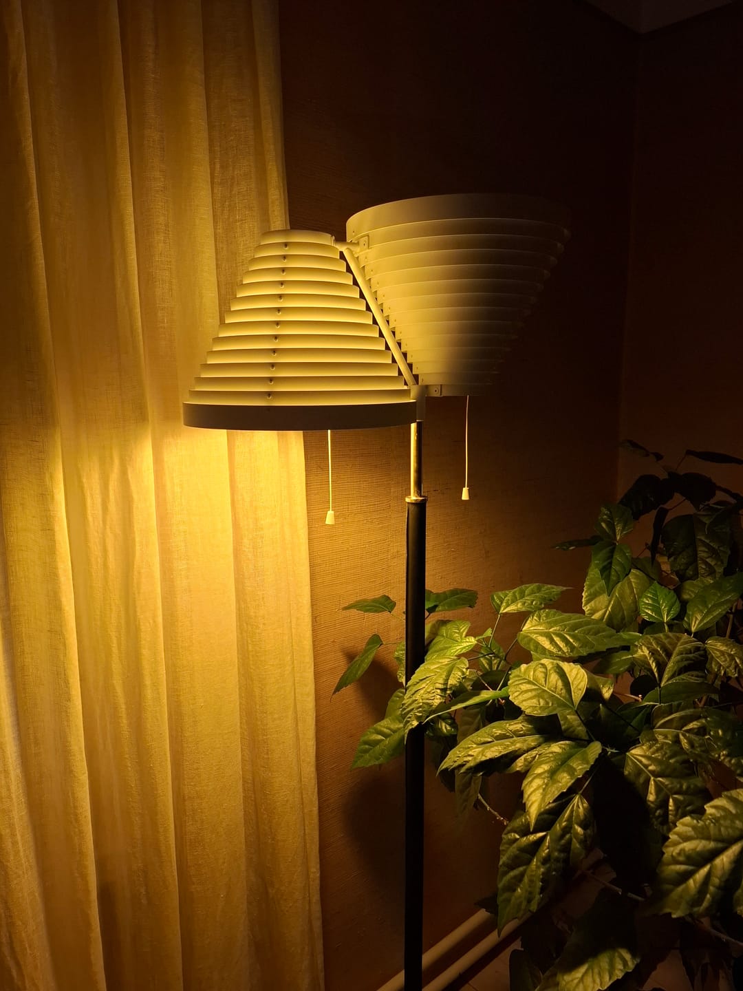 Customer photo review of NLED™ Iltavalo E27