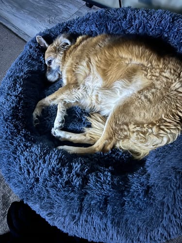 Customer photo review of CalmBed - Motverkar stress & hjälper mot ångest