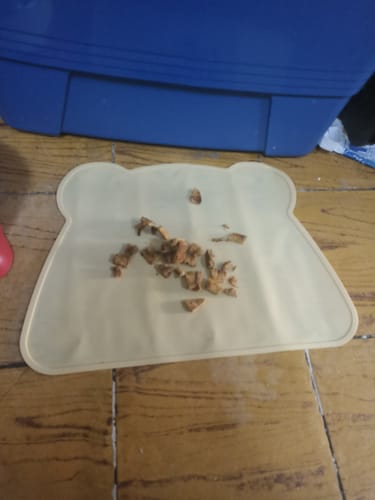 Customer photo review of CT0075 1 Pieza De Tapete De Comida Para Mascota