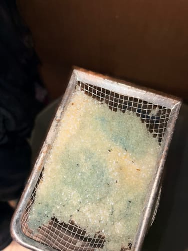 Customer photo review of 1 Month Supply – 3 Cat